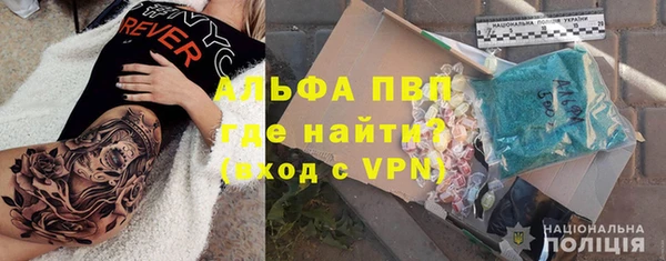 стаф Надым