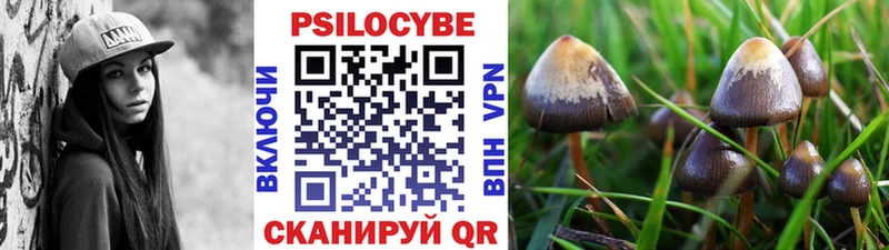 купить наркотики цена  Нерехта  omg ТОР  Галлюциногенные грибы мухоморы 